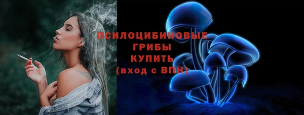 прущие крисы Карпинск
