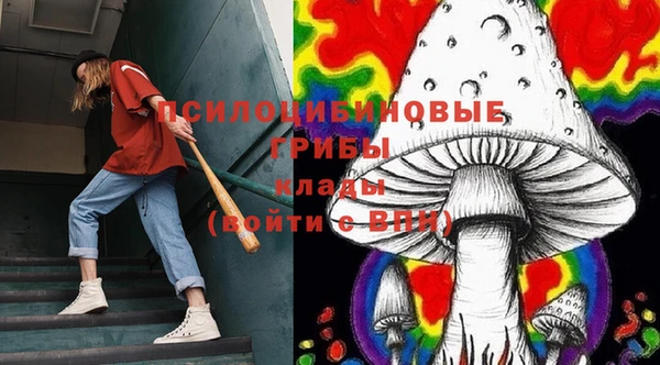 прущие крисы Карпинск