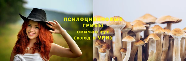 дживик Каменногорск