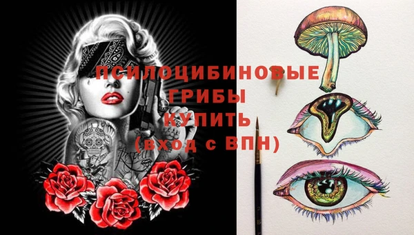 скорость Каменка