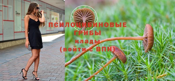 прущие крисы Карпинск
