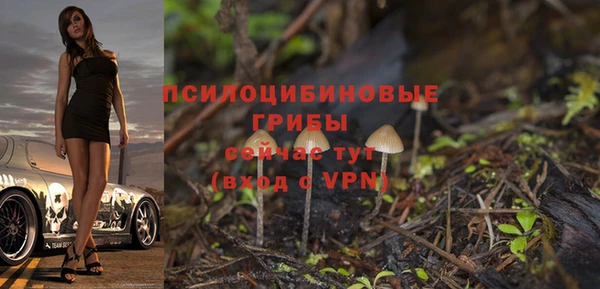 скорость Каменка