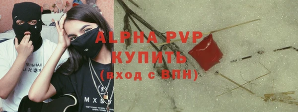 скорость Каменка